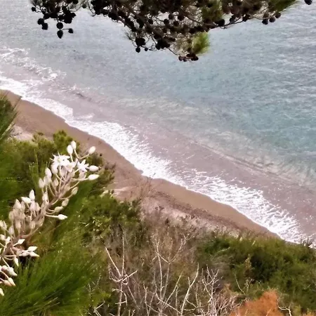Daire With Sea View *